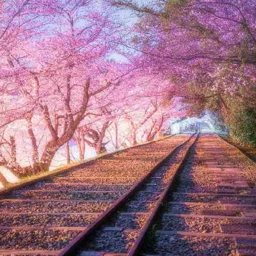 مهدی رجایی نزن بارون که من یاری ندارم غریب افتاده ام جایی